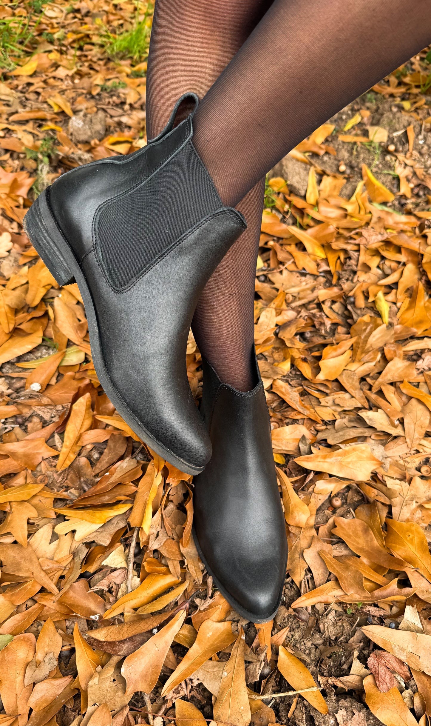 Botines Petrel Negro